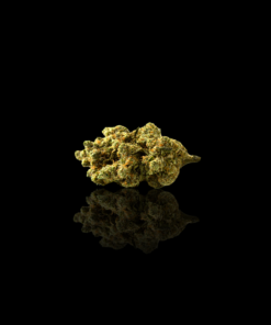 Alternative view of Rockstar Kush